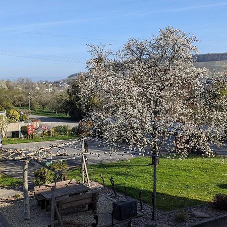 Weingut Harald Ludwig Osann-Monzel Exterior foto