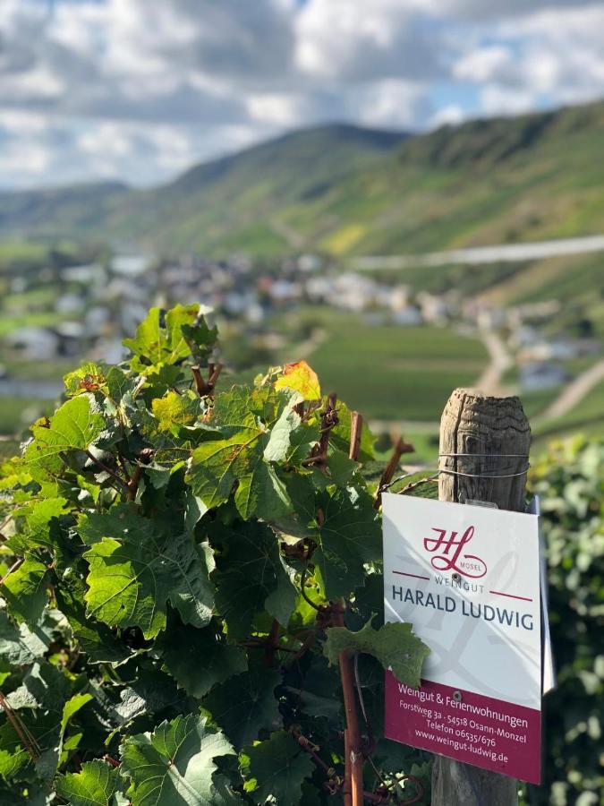 Weingut Harald Ludwig Osann-Monzel Exterior foto