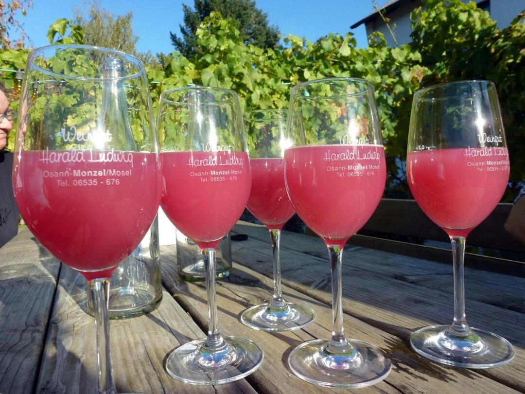 Weingut Harald Ludwig Osann-Monzel Exterior foto
