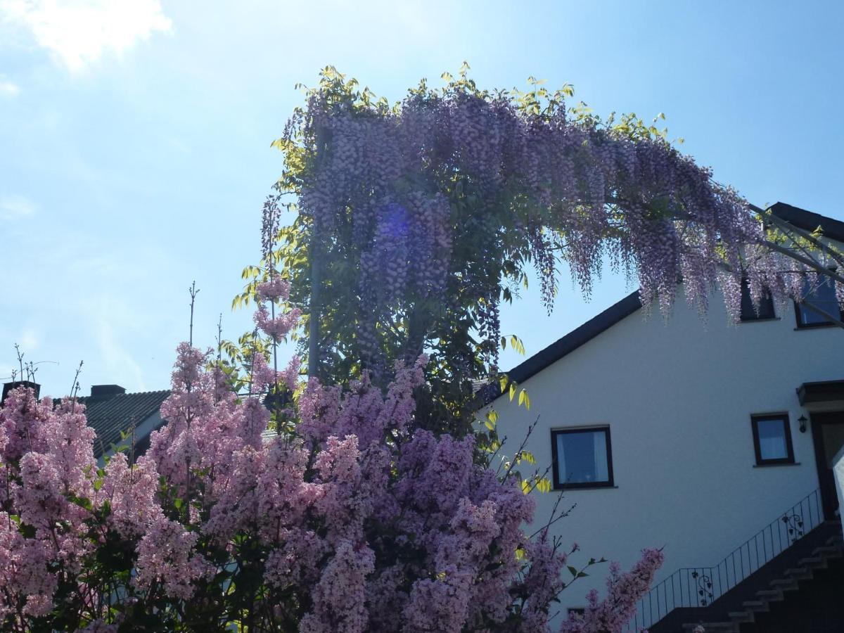 Weingut Harald Ludwig Osann-Monzel Exterior foto