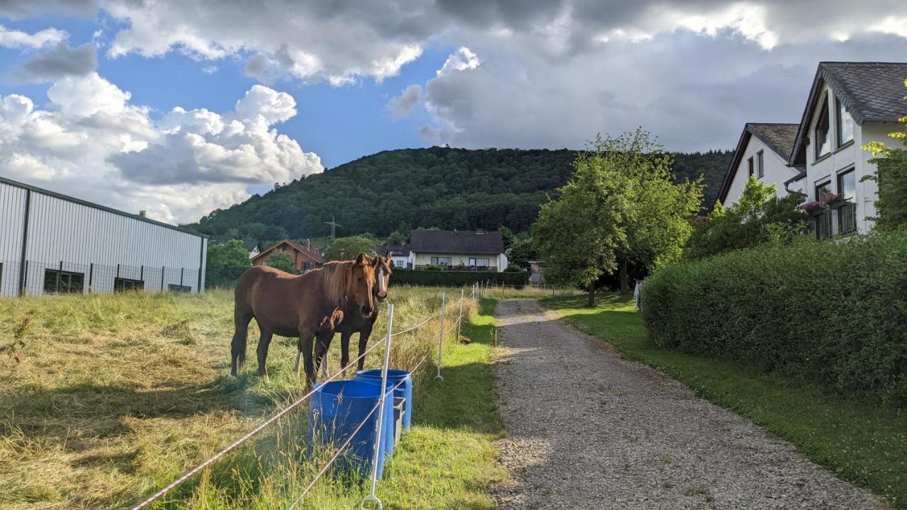 Weingut Harald Ludwig Osann-Monzel Exterior foto