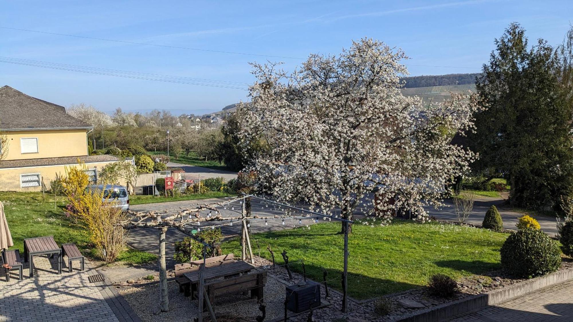Weingut Harald Ludwig Osann-Monzel Exterior foto
